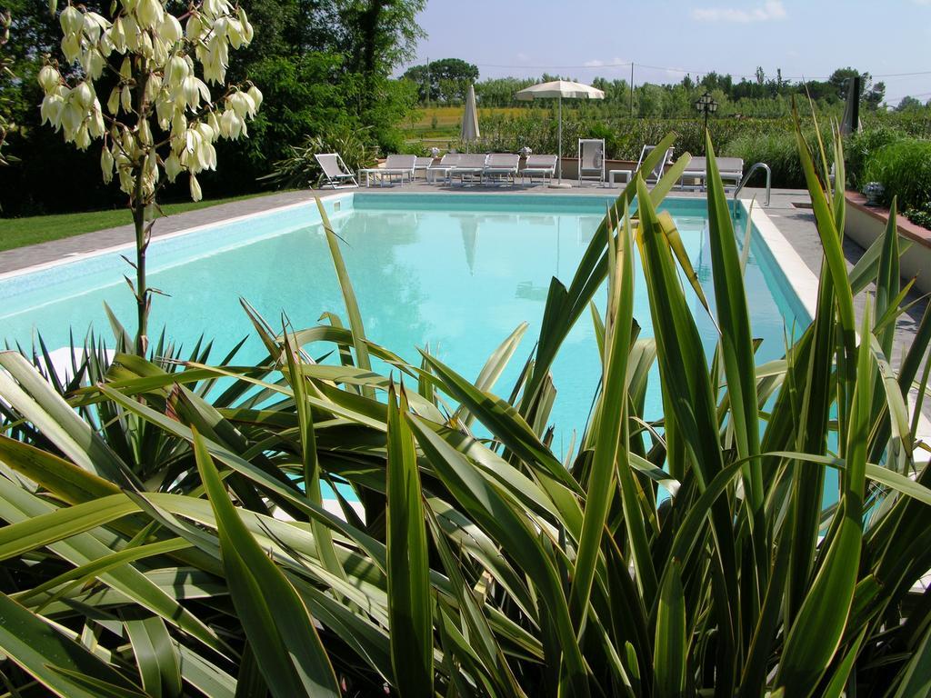 Podere Il Giurato Fauglia Exterior photo